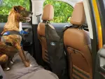Front Seat Pet Barrier