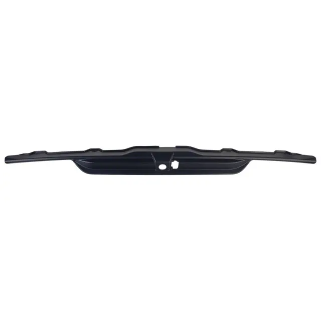 2021-2025 Ford Mustang Mach-E Trim Molding LK9Z-8419-CAPTM | OEM