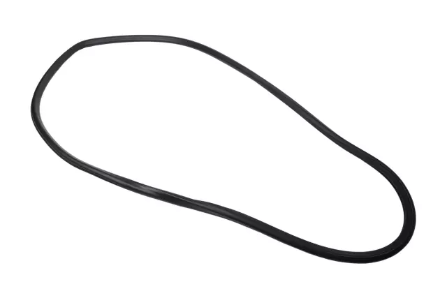 Rear Side Door Weatherstrip