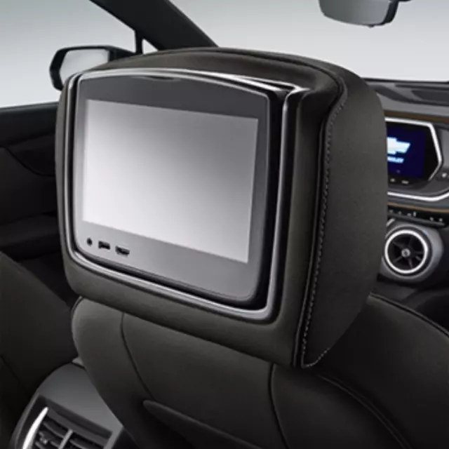 Headrest and Video Screen Assembly