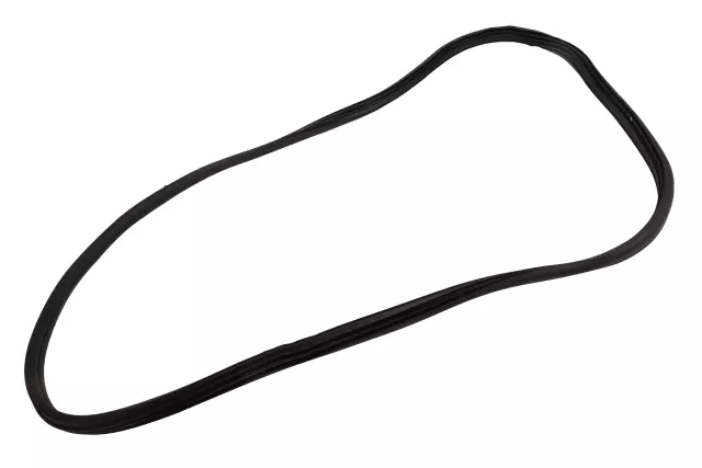 Front Side Door Body Side Weatherstrip