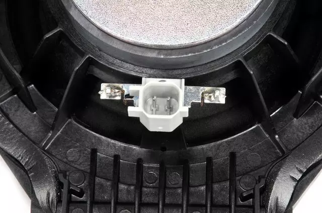 Rear Side Door Speaker