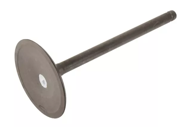 Intake Valve