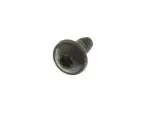 Latch Screw