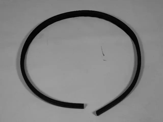 Front Door Opening Weatherstrip, Left