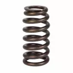 Valve Springs