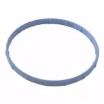 Fuel Injection Throttle Body Mounting Gasket