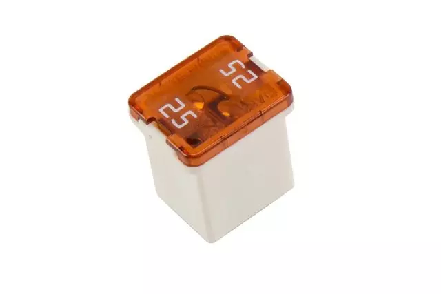 25 Amp Multi-Purpose Fuse