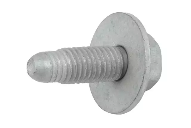 Multi-Purpose Bolt