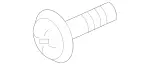 Washer Nozzle Bolt
