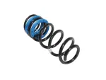 Rear Coil Spring, Left