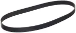 Serpentine Belt
