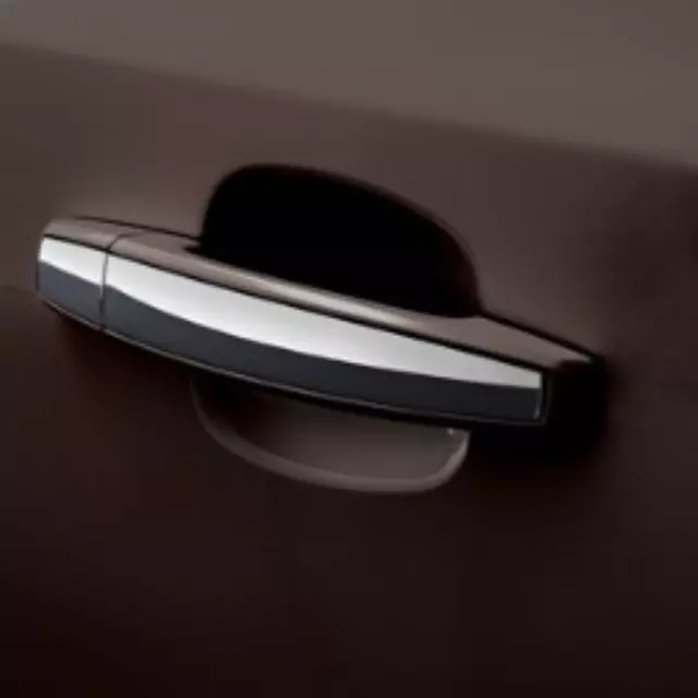 Front and Rear Door Handles in Black Granite Metallic with Chrome Strip