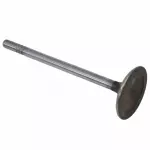 Exhaust Valve