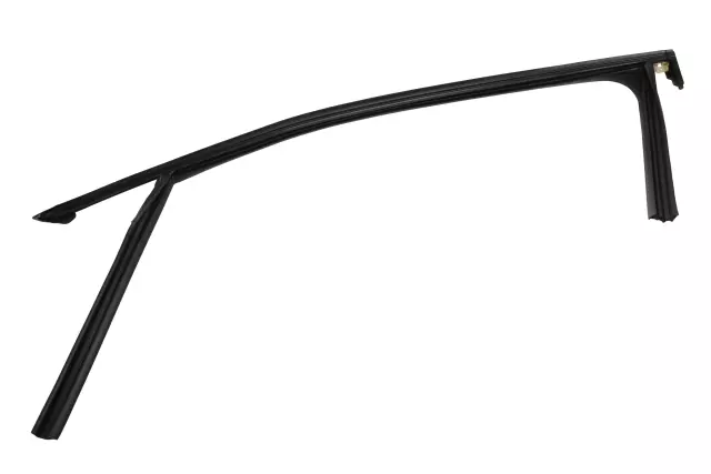 Front Driver Side Door Window Weatherstrip