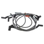 Motorcraft™ Spark Plug Wire Set