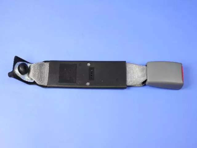 Rear Inner Seat Belt