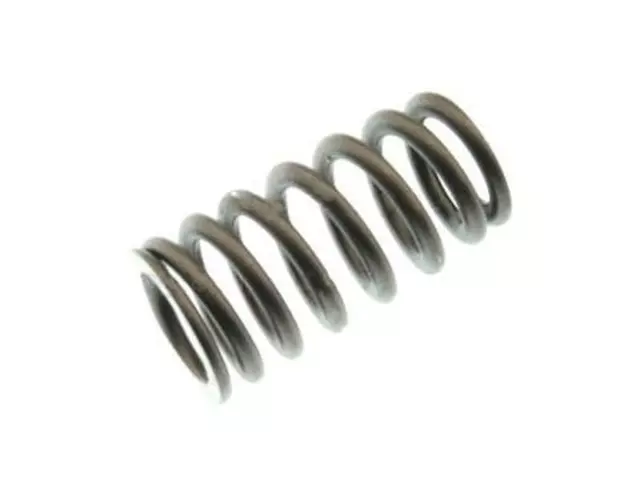 Valve Springs