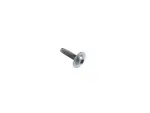 Round Head Screw