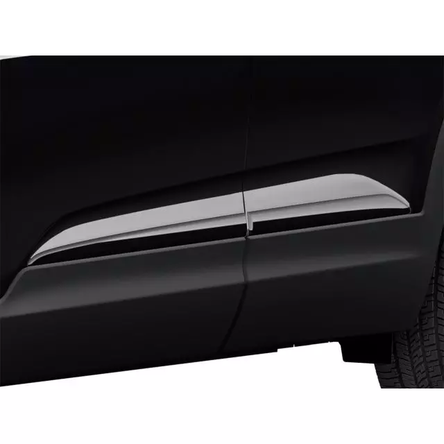 GM Exterior Trim Door Molding 42688851