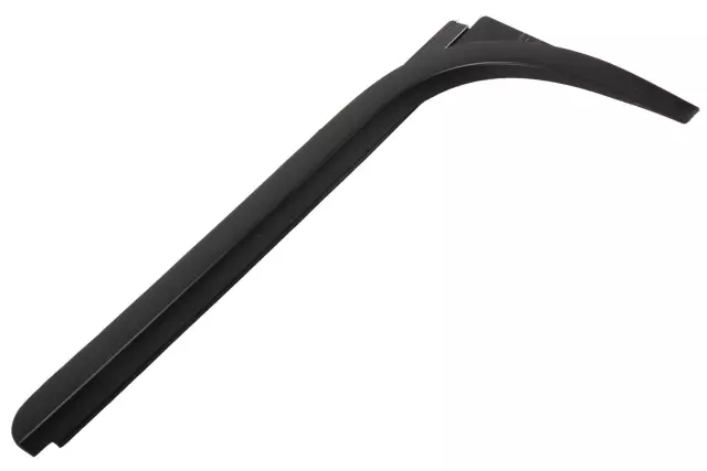 Passenger Side Rear Door Window Outer Sealing Strip