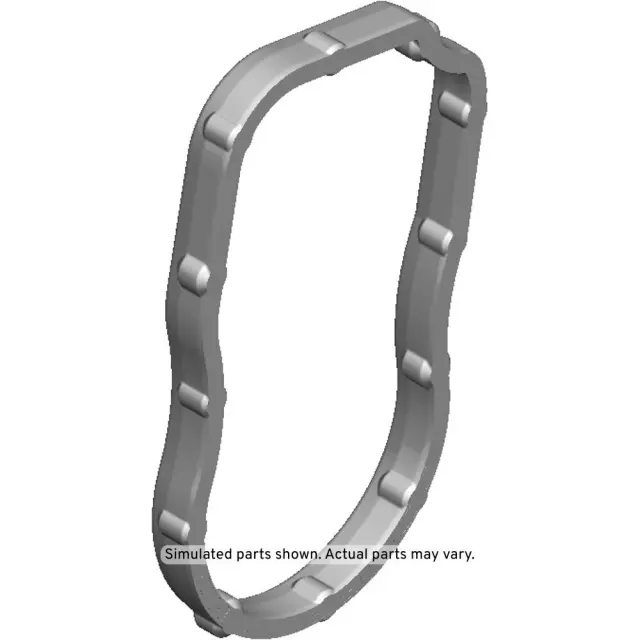 Thermostat Unit Gasket