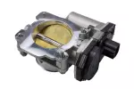 Fuel Injection Throttle Body