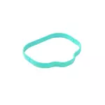 Intake Manifold Gasket