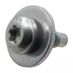 Filler Pipe Screw