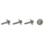 Trunk Lid Trim Screw
