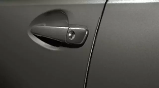 2015-2018 Lexus - Door Edge Guards, Atomic Silver
