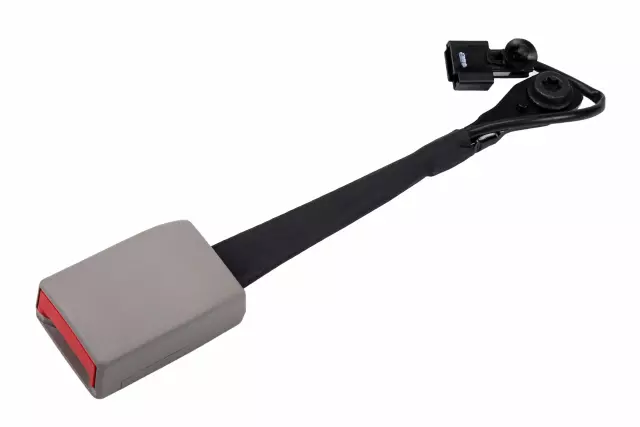 Titanium Driver Seat Belt with Buckle