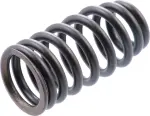 Valve Springs