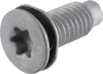 Striker Screw