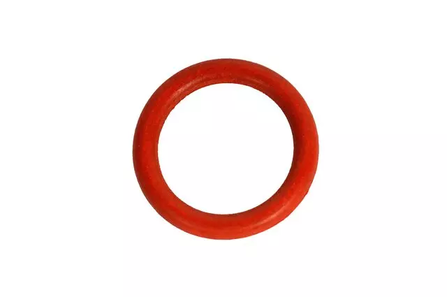 Heater Pipe O-Ring - GM (12575032)