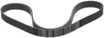 Serpentine Belt