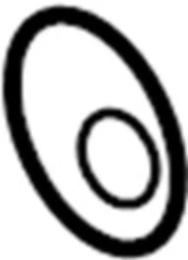 Rear Lower Control Arm Cam