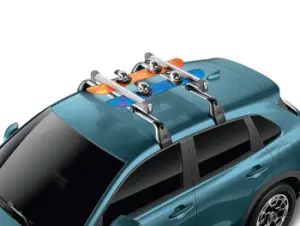 Ski/Snowboard Attachment