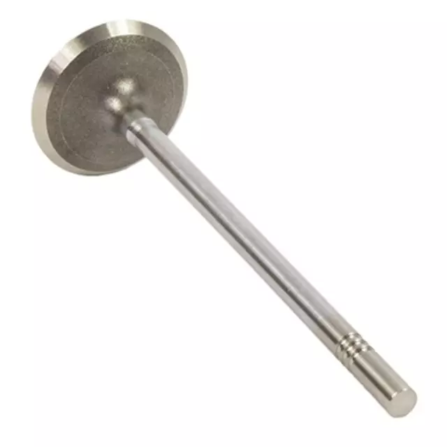 Intake Valve