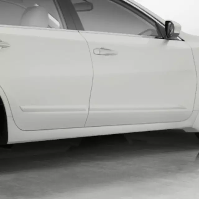 Body Side Moldings, Driver Side