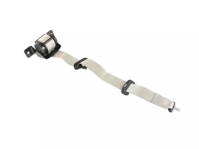 Rear Seat Belt