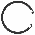 Bearing Retainer Ring