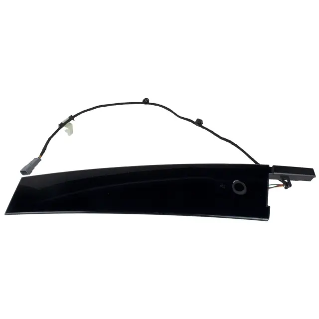 2021-2025 Ford Mustang Mach-E Door Applique LJ8Z-5820554-BC | OEM