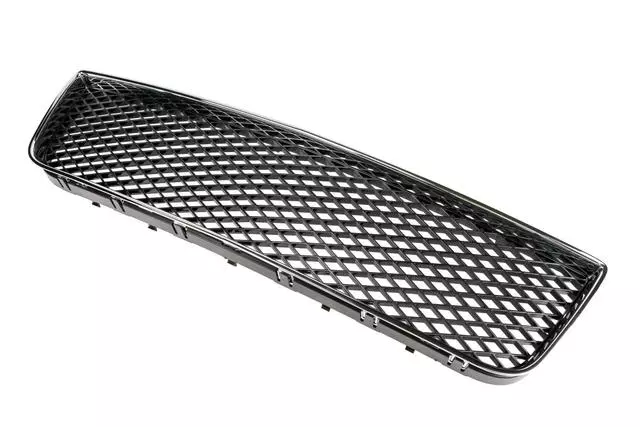 Front Lower Grille