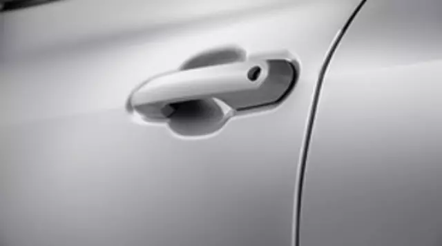 Door Edge Guards - Celestial Silver Metallic