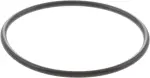 Water Pump Assembly O-Ring