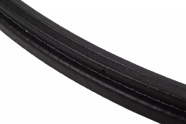 Driver Side Door Weatherstrip