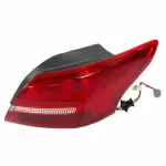 Tail Lamp Assembly