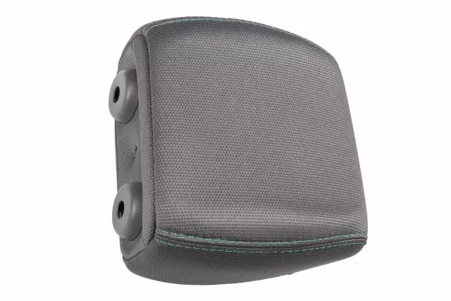 Dark Titanium Rear Seat Head Restraint