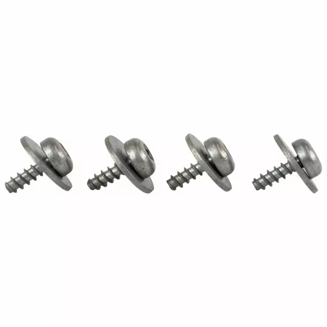 Door Assembly Screw